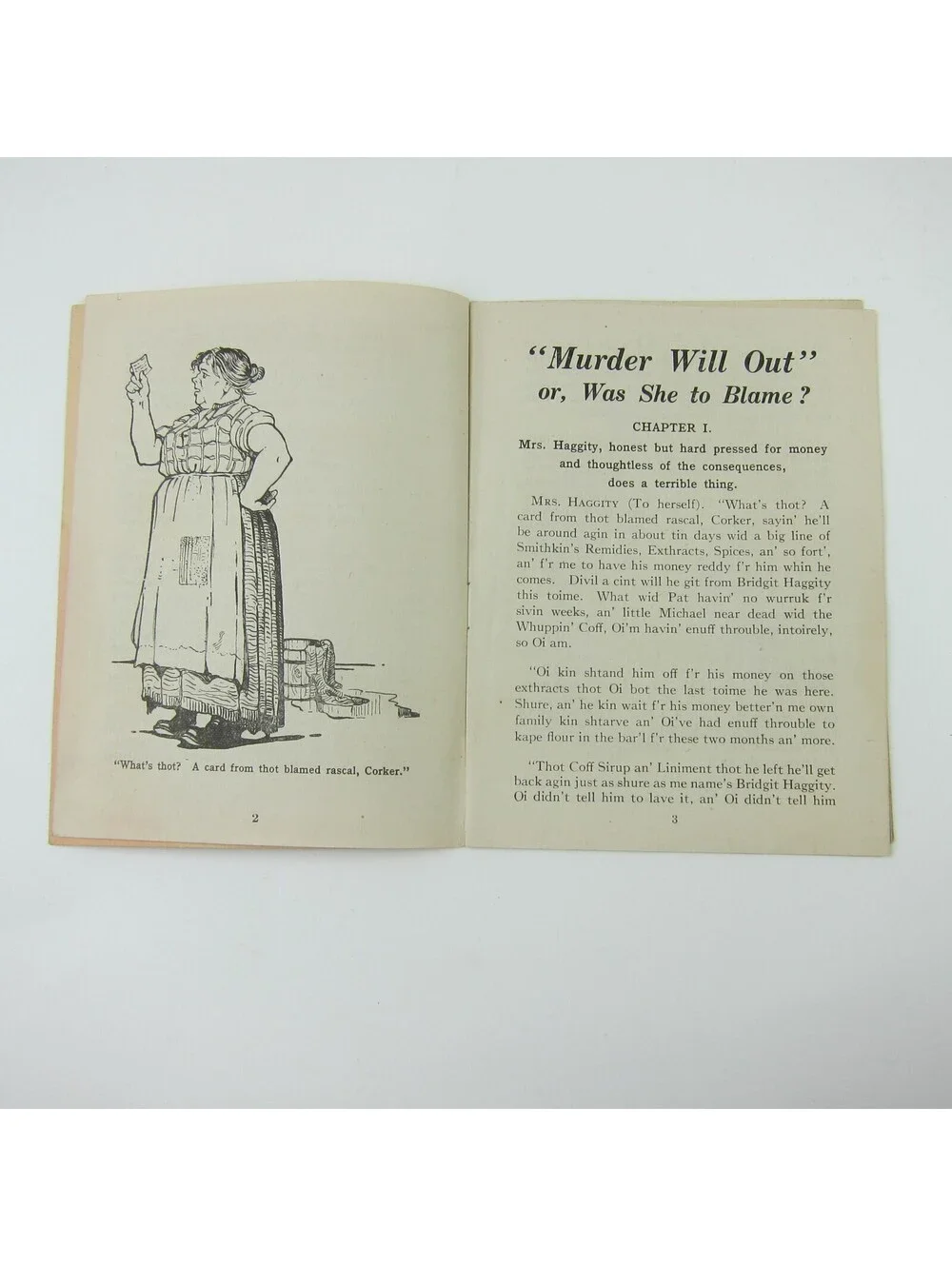 FW McNess Sanitary Medicines Murder Will Out Ad Booklet Lincoln Illinois Antique